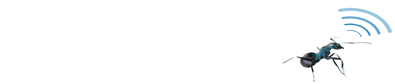 AntTail Logo